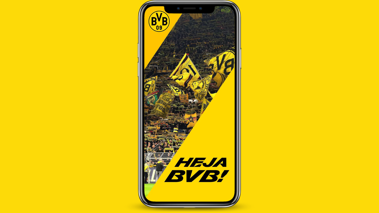 BVB FC